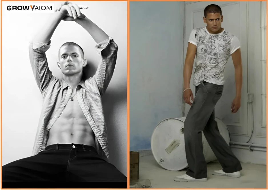 Wentworth Miller looks