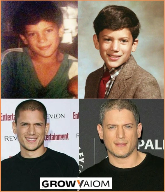Wentworth Miller Early Life 